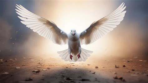 The White Bird: A Feathered Symbol of Purity and Freedom