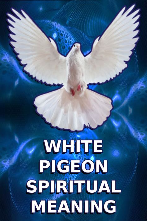 The White Pigeon as a Guide in Times of Transition