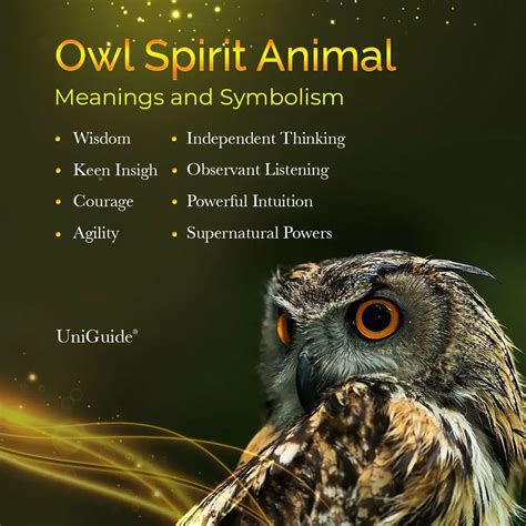 The Wisdom-Associated Bond: Considering the Symbolic Connection Betwixt Owls and Enlightenment