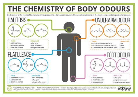 The Wonderland of Axillary Odors