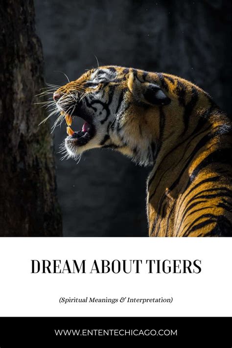 The cultural and spiritual significance of tigers in dream analysis