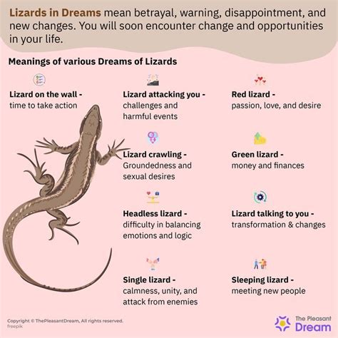 The significant role of lizard symbolism in the interpretation of dreams