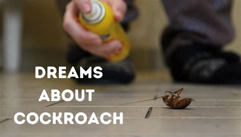 The various interpretations of cockroach dreams