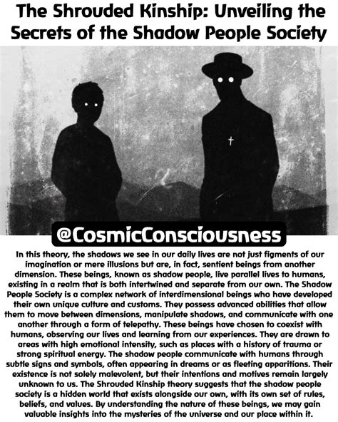 Theories and Explanations: Shadow Figures - Genuine Entities or Mere Illusions?