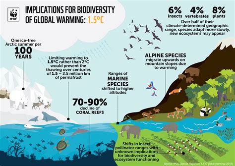 Threats to Bird Habitats: Human Impact and Climate Change