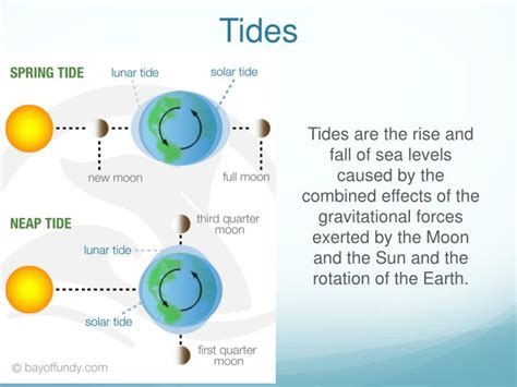 Tidal Waves and Their Link to Overpowering Sentiments