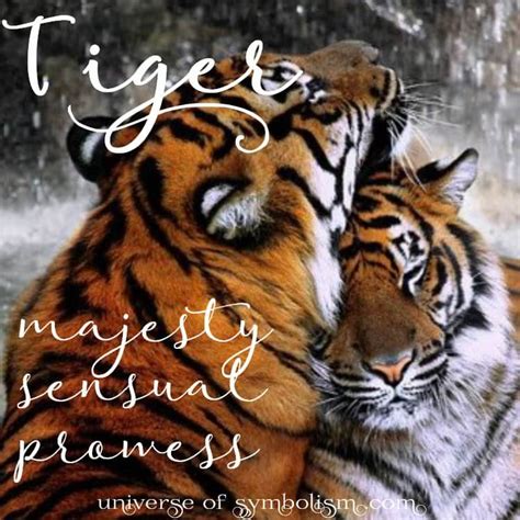 Tigers as Representations of Power and Strength