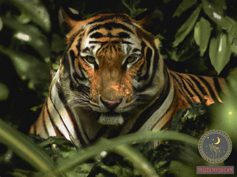 Tigers in Dreams: Revealing the Symbolic Significance