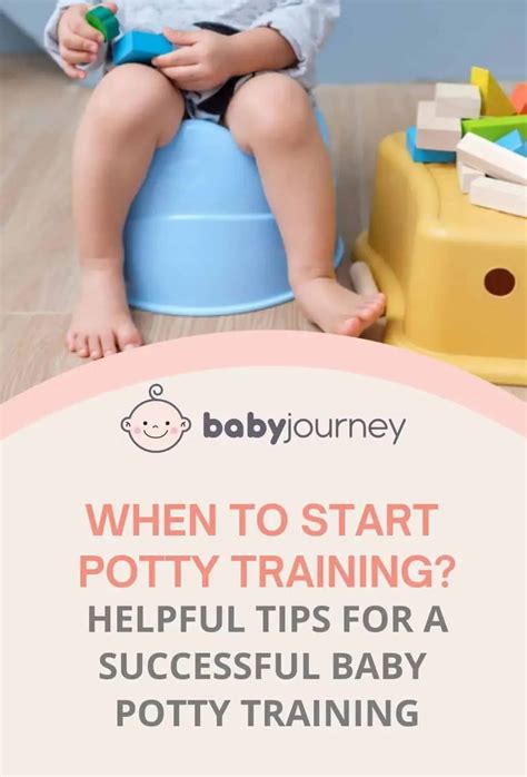 Tips and Tricks for a Successful Baby's Potty Training Journey