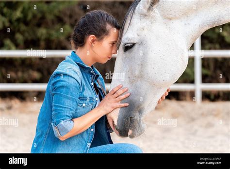 Tips for Analyzing and Decoding Dreams Involving Affectionate Gestures from Equine Companions