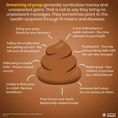 Tips for Analyzing and Decoding Dreams Involving the Transportation of Feces