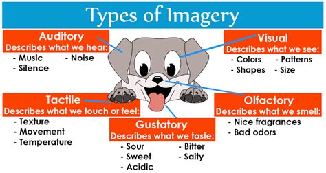 Tips for Analyzing and Discussing These Vivid Imagery Experiences with Your Companion