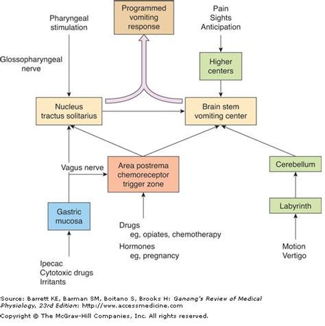 Tips for Analyzing and Making Sense of Vomitus Dreamscapes