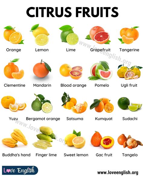 Tips for Assessing the Quality of Citrus Fruits