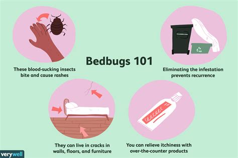 Tips for Coping with Anxiety Caused by Nightmares about Bedbugs