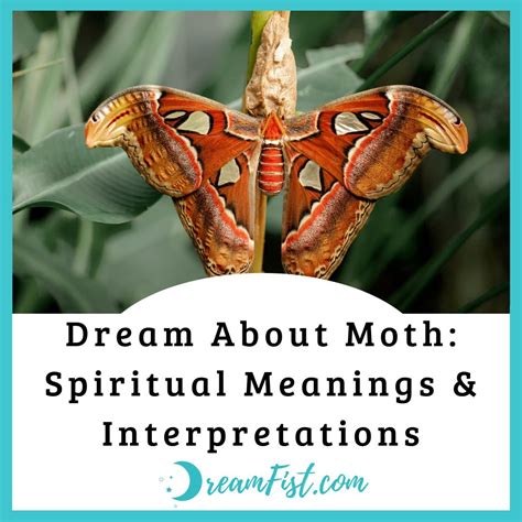 Tips for Deciphering Moth Dream Meanings