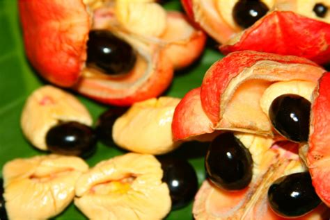 Tips for Deciphering and Embracing Dreams of Witnessing the Ackee Fruit