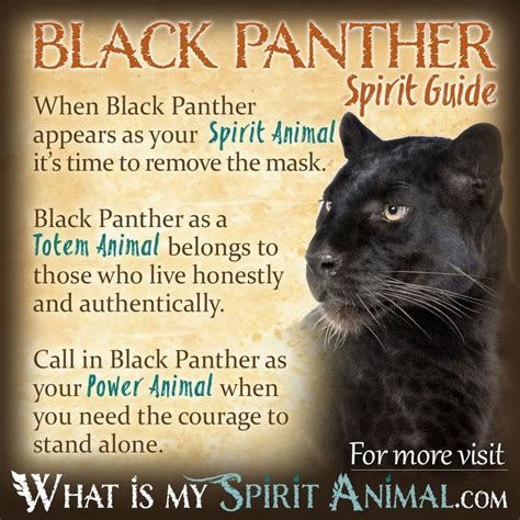 Tips for Harnessing the Power of Panther Bite Dreams for Personal Exploration