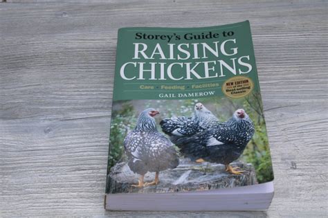 Tips for Improving Recall and Understanding of Dreams Featuring Hens and Chicks