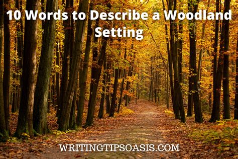 Tips for Interpreting and Utilizing Insights from Pursuit Dreams in a Woodland Setting