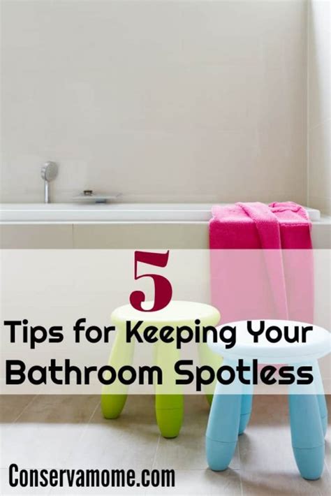 Tips for Keeping Your Kitty's Bathroom Spotless