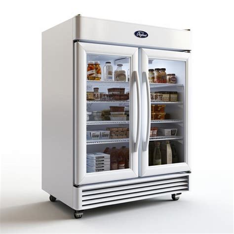 Tips for Maintenance and Care to Extend the Lifespan of Your Refrigerator