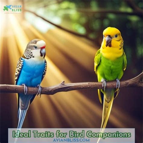 Tips for Selecting the Ideal Avian Companion