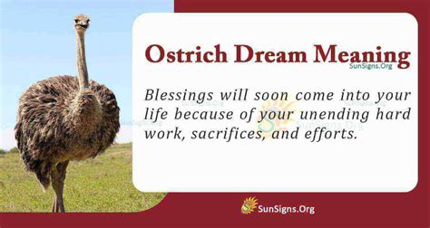 Tips for Understanding and Applying Ostrich Symbolism in Your Life