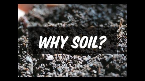 Tips for Understanding and Coping with Dreams of Expelling Soil: Insights and Strategies