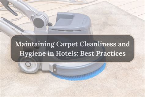 Tips to Maximize Efficiency and Effectiveness in Maintaining Carpet Cleanliness