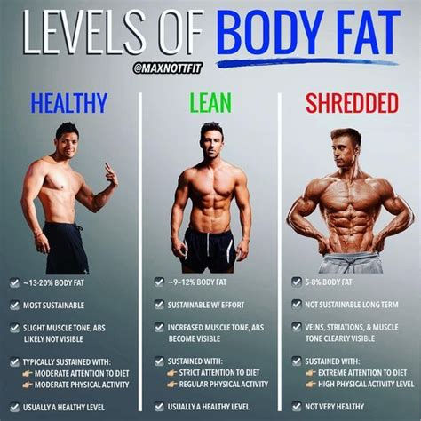 Top Techniques for Maintaining a Trim Physique