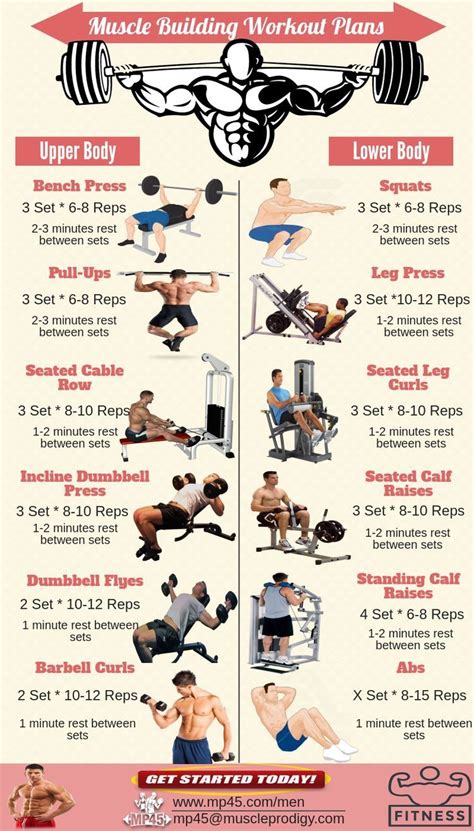 Top Workout Routines of Fitness Maus