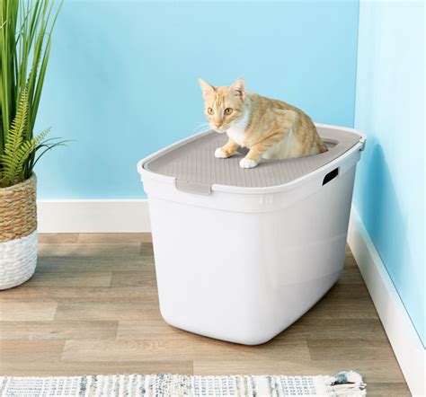 Top-Entry Litter Boxes: An Effective Solution for Messy Cats