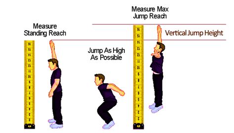 Towering Stature - What is Viveca's Vertical Measurement?