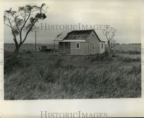 Tracing the Origins of a Desolate Historic Residence