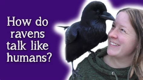 Training Ravens to Speak: Techniques and Challenges