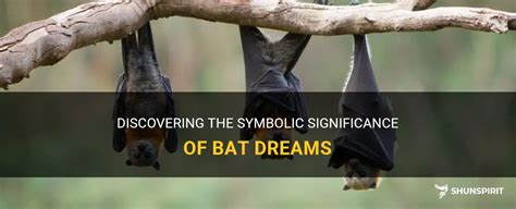 Transformative Meanings: Discovering the Symbolic Nature of Bat Dreams