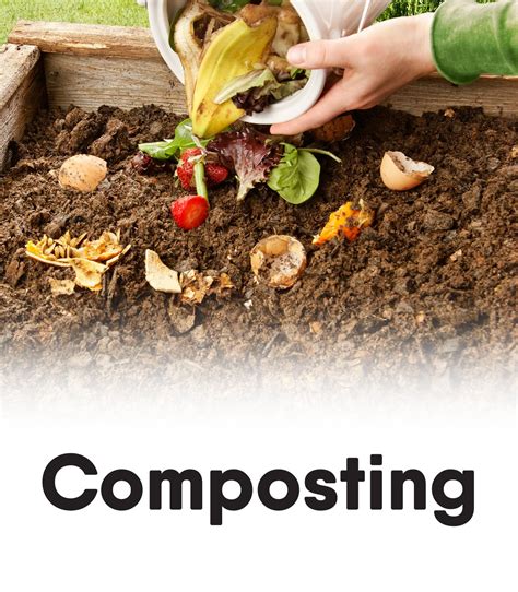 Transforming Food Scraps into Nutrient-Rich Soil: Composting Made Easy