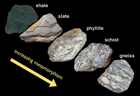 Transforming the Past: Exploring the Metamorphic Significance of Discarded Serpent Epidermis