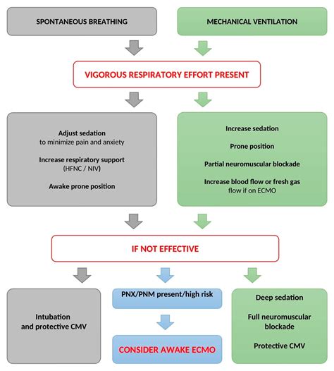 Treatment options for addressing dreams related to self-inflicted harm