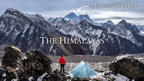 Trekking through the Himalayas: A Quest for Rare and Endangered Species