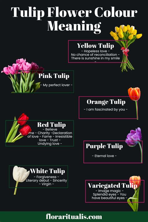 Tulip Symbolism in Literature and Poetry: A Poetic Journey through Time