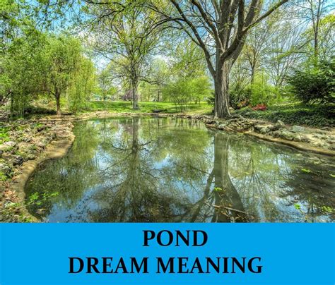 Turning the Tide: Discovering Personal Power and Expansion through Pond Dream Scenarios