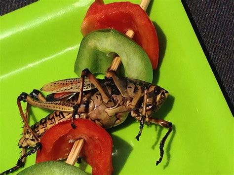 Types of Insects Discovered in Edible Items