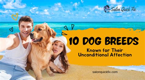 Unconditional Affection: An Indispensable Lesson from Canine Companions