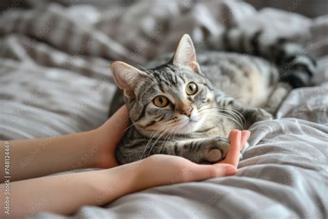 Unconscious Desires: The Connection between Consuming Felines and Our Innermost Longings