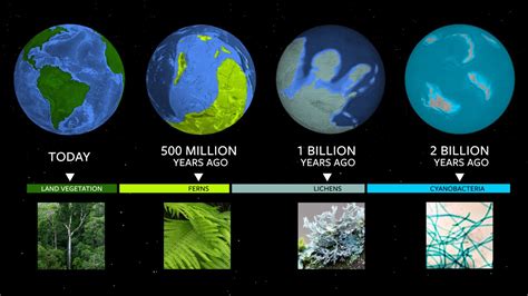 Uncover Samarthya's Years on Earth