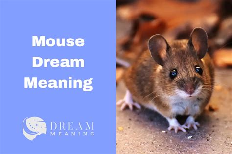 Uncovering Secret Longings: Exploring Mouse Dreams as a Window into Innermost Desires