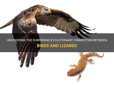 Uncovering the Connection: Intuition and the Intriguing Reveries of Lizards on Walls