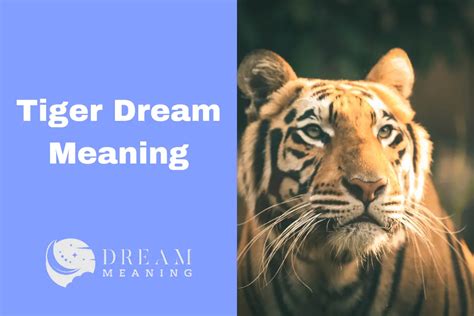 Uncovering the Enigmatic Messages in Dreams of the Majestic Tiger